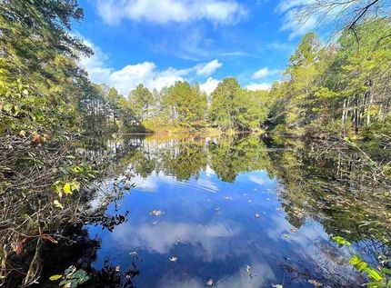Property in Morris County, Texas
