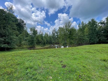 Ranch Property in Limestone County, Alabama
