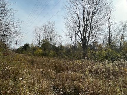 Farm Property in Tuscola County, Michigan