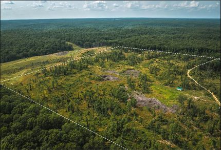 Farm Property in Texas County, Missouri
