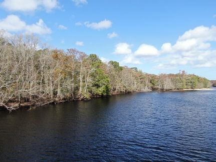 Residential Property for sale in Marion County, South Carolina