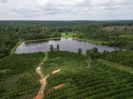 Waterfront Property in Wilkinson County, Georgia