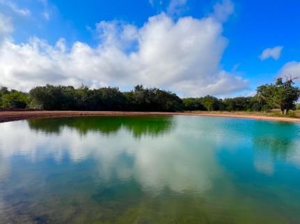 Farm Property in Victoria County, Texas