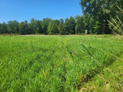 Waterfront Property in Cass County, Michigan