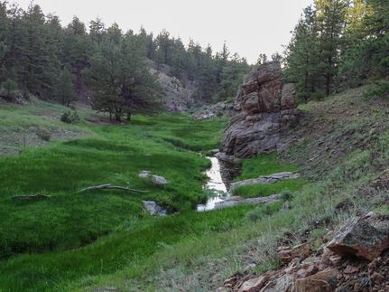 Property in Custer County, Colorado