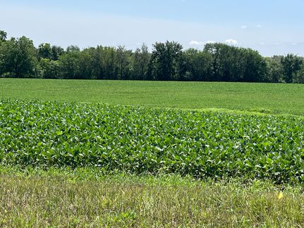 Property in Muscatine County, Iowa
