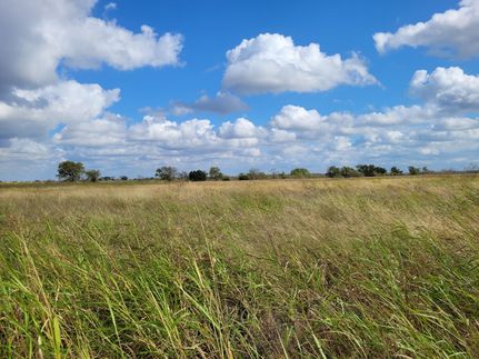 Undeveloped Land for sale in Hamilton County, Texas