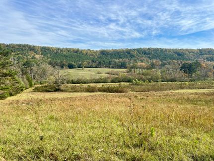 Property in Blount County, Alabama