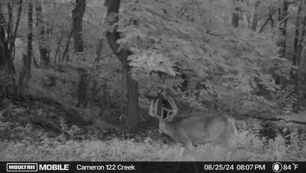Recreational Property in Clinton County, Missouri