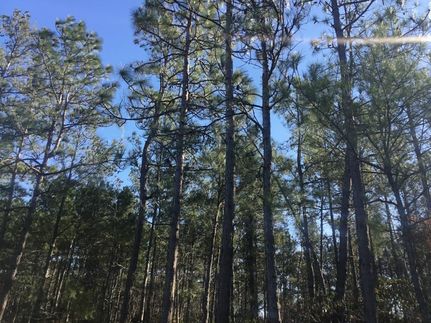 Undeveloped Land for sale in Horry County, South Carolina