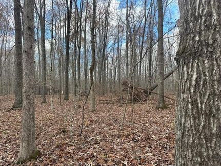 Farm Property in Bledsoe County, Tennessee