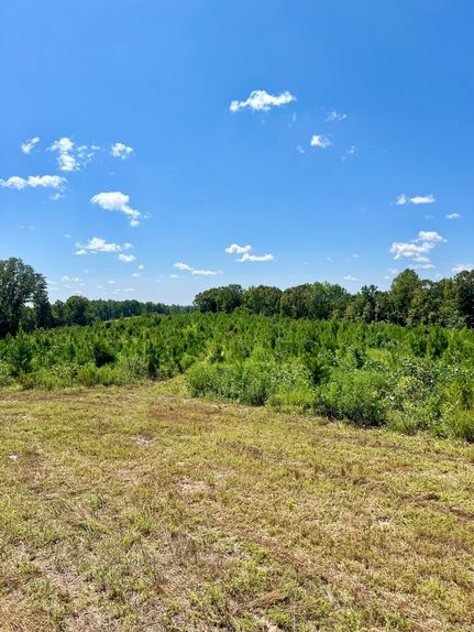 Timberland Property in Conecuh County, Alabama