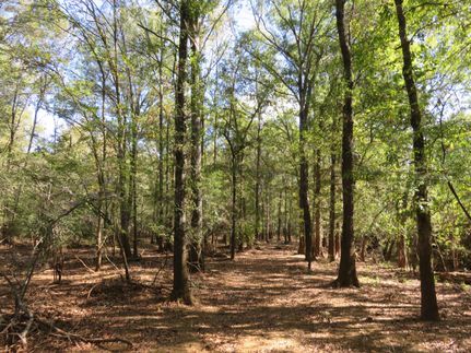 Farm Property for sale in Nacogdoches County, Texas