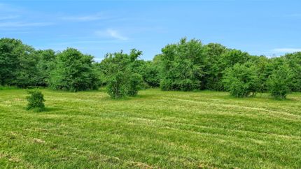 Timberland Property for sale in Grayson County, Texas