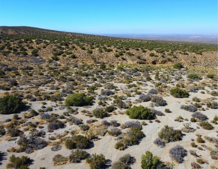 Property for sale in Los Angeles County, California