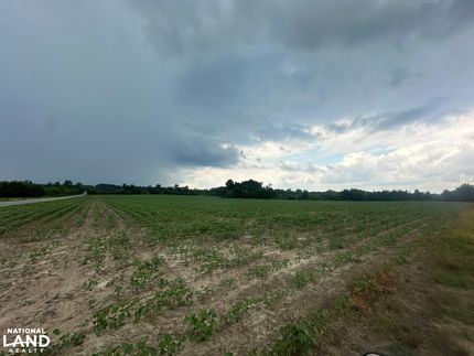 Hunting Land in Hertford County, North Carolina