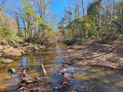 Farm Property for sale in Rutherford County, North Carolina