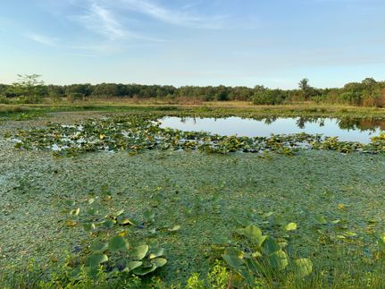 Residential Property for sale in Pushmataha County, Oklahoma