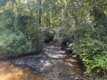 Farm Property for sale in Lamar County, Alabama