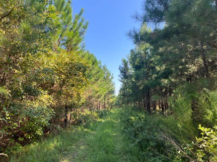 Property in Bacon County, Georgia