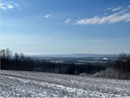 Hunting Land in Cattaraugus County, New York