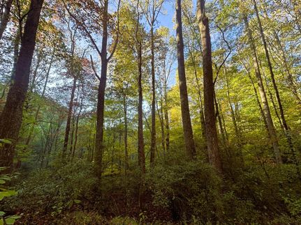 Farm Property in Lewis County, West Virginia