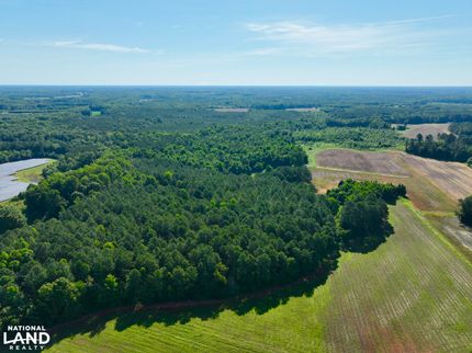 Hunting Land in Nash County, North Carolina