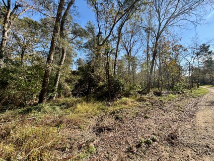 Farm Property in Montgomery County, Texas