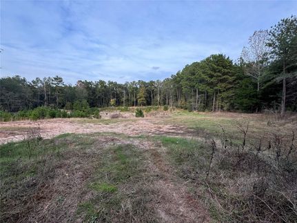 Recreational Property in Polk County, Texas