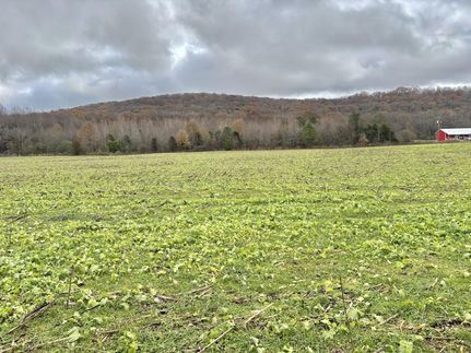 Farm Property in Coffee County, Tennessee