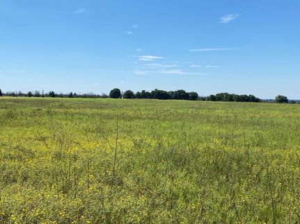 Ranch Property in Eastland County, Texas