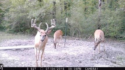 Recreational Property for sale in Houston County, Texas
