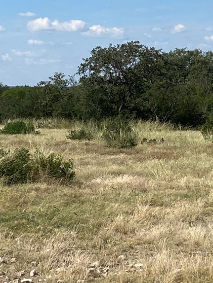 Ranch Property in Kinney County, Texas