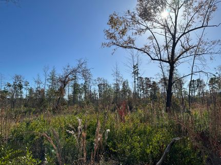 Farm Property in Clarendon County, South Carolina