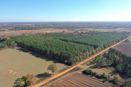 Undeveloped Land in Calhoun County, Georgia