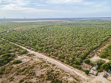 Commercial Property in Starr County, Texas