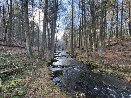Farm Property in Luzerne County, Pennsylvania