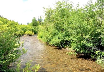 Timberland Property in Fremont County, Idaho