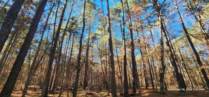 Recreational Property for sale in San Augustine County, Texas