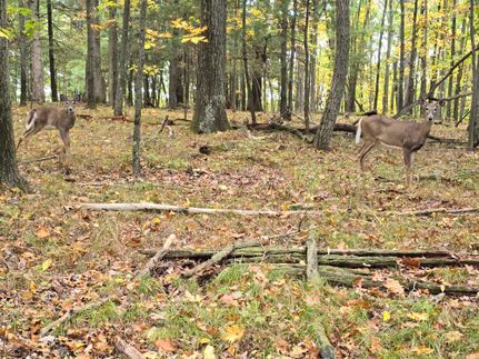 Residential Property for sale in Chemung County, New York