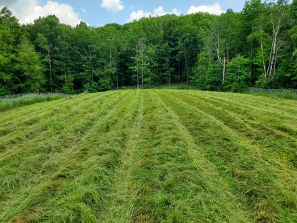 Property for sale in Chemung County, New York