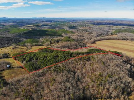 Hunting Land in Pittsylvania County, Virginia
