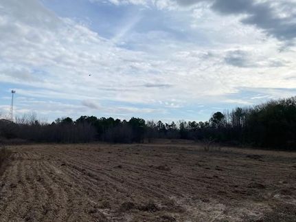 Undeveloped Land for sale in Henderson County, Texas