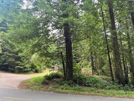 Undeveloped Land in Humboldt County, California