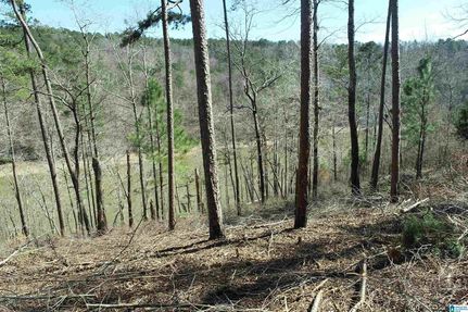 Property in Randolph County, Alabama