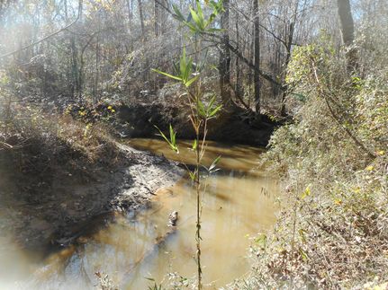 Timberland Property for sale in Rankin County, Mississippi