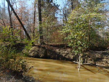 Riverfront Property for sale in Rankin County, Mississippi
