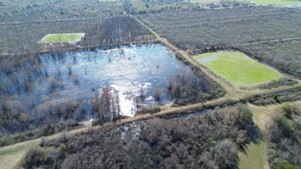 Farm Property in Humphreys County, Mississippi