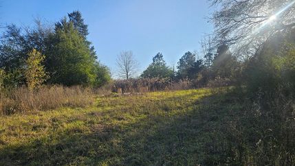 Undeveloped Land for sale in Nacogdoches County, Texas