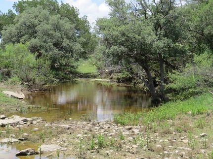 Farm Property in Terrell County, Texas